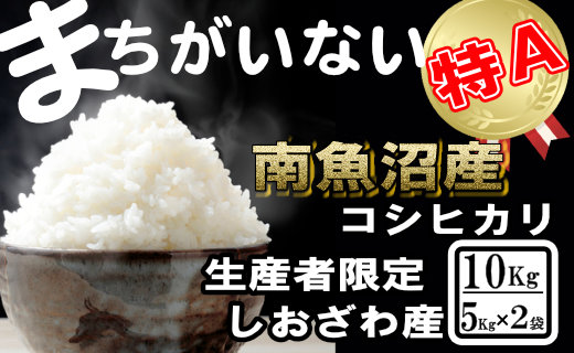 【令和7年産】生産者限定／契約栽培&nbsp;南魚沼しおざわ産コシヒカリ10Kg（5Kg×2袋）