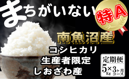 【令和7年産】【定期便】生産者限定&nbsp;契約栽培&nbsp;&nbsp;南魚沼しおざわ産コシヒカリ（5Kg×3ヶ月）