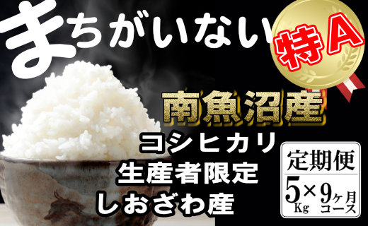 【定期便】生産者限定 契約栽培　南魚沼しおざわ産コシヒカリ（5Kg×9ヶ月）