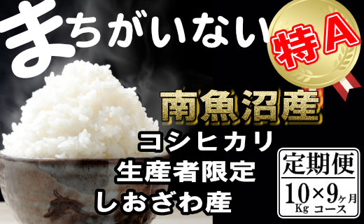 【定期便】生産者限定 契約栽培　南魚沼しおざわ産コシヒカリ（10Kg×9ヶ月）