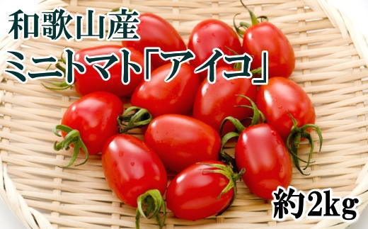 【3月出荷分】和歌山産ミニトマト「アイコトマト」約2kg（S・Mサイズおまかせ）【TM123】