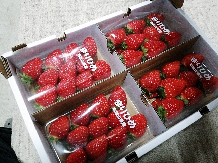 農家直送 まりひめ 松いちご 4パック Jtbのふるさと納税サイト ふるぽ