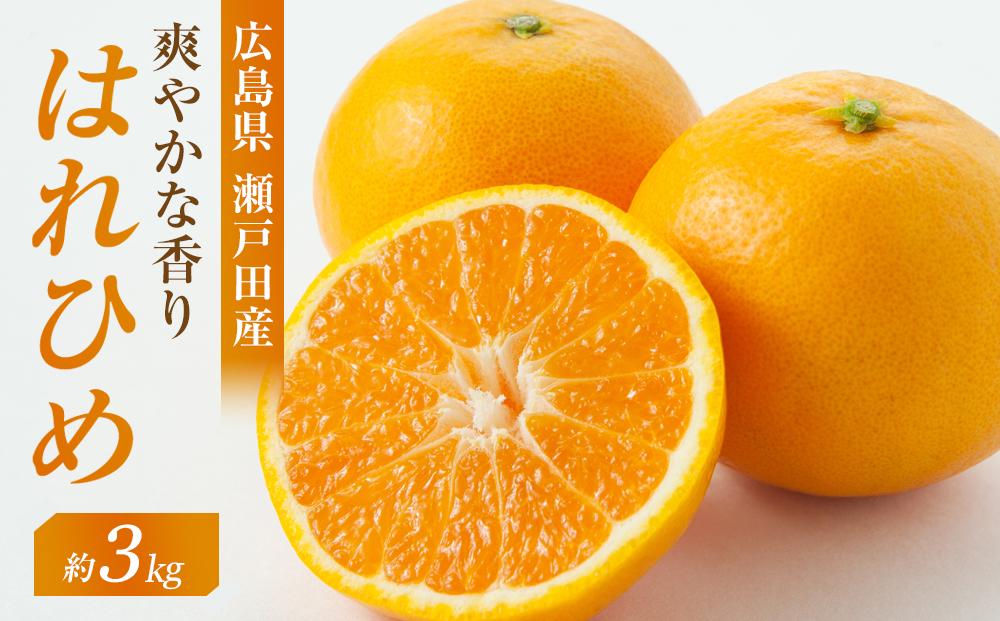 爽やかな香り！！ はれひめ ３ｋｇ　＜2024年12月下旬より発送開始＞【みかん 蜜柑 フルーツ 果物 青果 柑橘 尾道市】