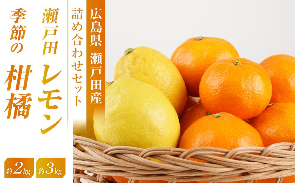 瀬戸田レモン3ｋｇと季節の柑橘2ｋｇ＜2024年11月下旬より発送開始＞【みかん レモン 檸檬  果物 フルーツ 詰め合わせ セット 人気 おすすめ 瀬戸内 広島県  尾道市】