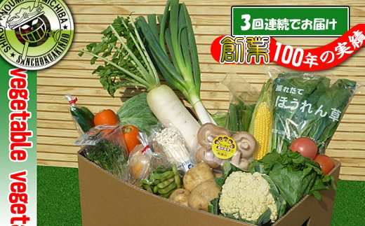 〈定期便3回〉創業100年！老舗の八百屋がチョイスした厳選やさいと旬の果物の詰め合わせ JTBのふるさと納税
