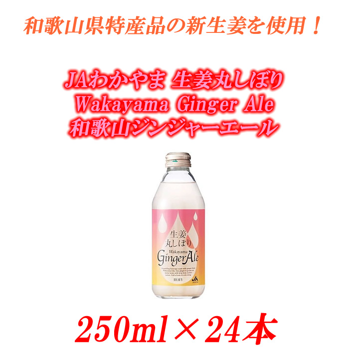 【ポイント交換専用】■JAわかやま 生姜丸しぼり Wakayama Ginger Ale　和歌山ジンジャーエール 250ml×24本