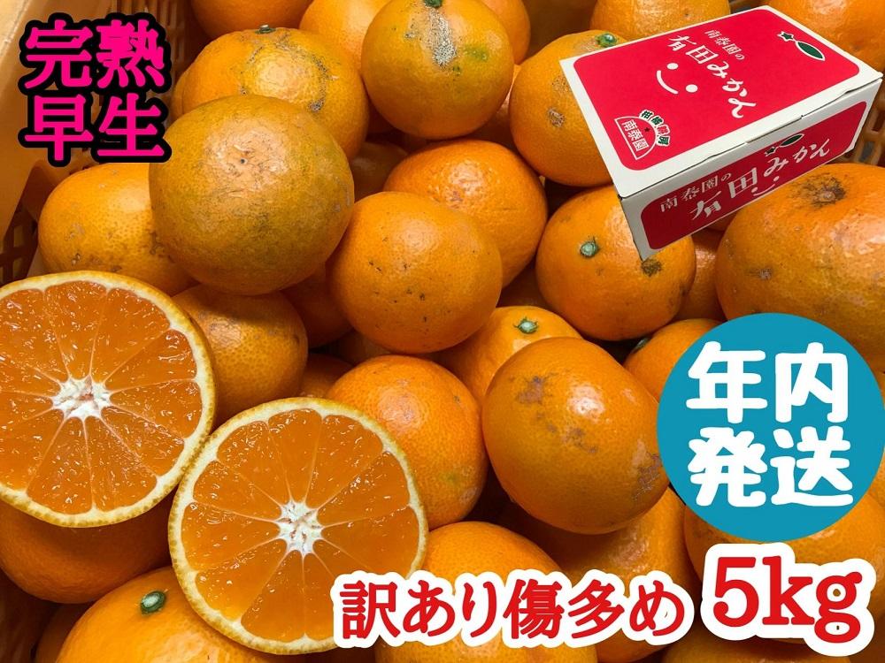 年内発送 訳あり 傷多め 完熟早生 有田みかん 5kg サイズおまかせ