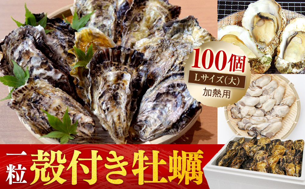 ［殻付き牡蠣］Ｌサイズ(大)100個《加熱用》【広島かき 広島牡蠣 かき 新鮮 旬 おすすめ 人気 広島県 宮島 廿日市市】