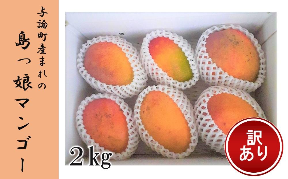 先行予約2025年7月以降発送【訳あり家庭用】ヨロン島産　島っ娘マンゴー 2キロ　5～7玉　白箱入り