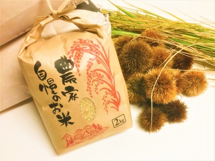 ◆実生庵の 近江米【玄米】 コシヒカリ 2kg× 1袋