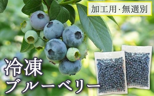 【登米市産】冷凍ブルーベリー（加工用・無選別2キロ）