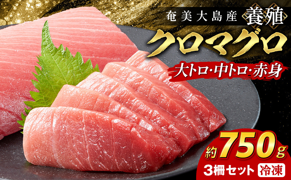 クロマグロ&nbsp;3柵セット&nbsp;750g以上&nbsp;大トロ&nbsp;中トロ&nbsp;赤身&nbsp;冷凍&nbsp;マグロ&nbsp;まぐろ&nbsp;黒マグロ&nbsp;クロマグロ&nbsp;本マグロ&nbsp;養殖マグロ&nbsp;冷凍マグロ&nbsp;マグロ刺身&nbsp;マグロ大トロ&nbsp;大トロ&nbsp;マグロ中トロ&nbsp;中トロ&nbsp;マグロ赤身&nbsp;赤身&nbsp;海鮮丼&nbsp;お刺身&nbsp;カルパッチョ&nbsp;まぐろ丼&nbsp;お寿司&nbsp;手巻き寿司&nbsp;人気マグロ&nbsp;おすすめマグロ&nbsp;奄美大島マグロ&nbsp;海鮮&nbsp;魚介類&nbsp;魚&nbsp;人気&nbsp;おすすめ&nbsp;奄美大島&nbsp;鹿児島県&nbsp;瀬戸内町