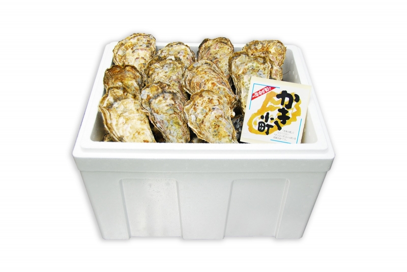 ふるさと納税 廿日市市 独自ブランド「讃美牡蠣」のこだわり冷凍大粒