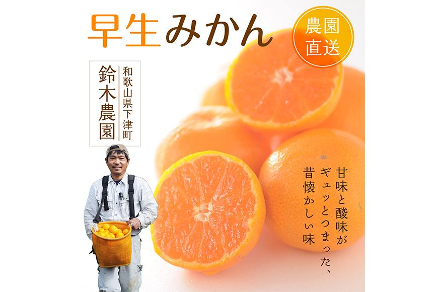 早生みかん【訳あり】5kg混合サイズ【和歌山の早生みかん】11月～12月に〈昔ながらのみかん〉鈴木みかん農園より農園直送で順次発送予定※北海道・沖縄・離島への配送不可　ミカン　蜜柑　mikan　温州みかん 温州ミカン　わけあり　訳アリ