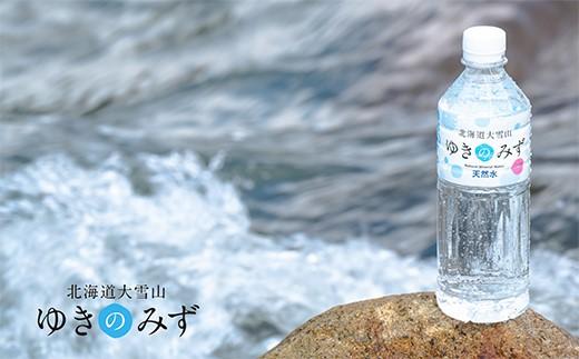 北海道大雪山ゆきのみず（550ml×24本入り）　2箱