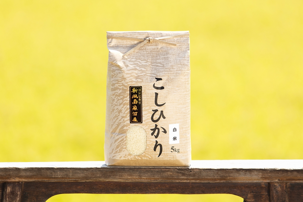 【令和8年産&nbsp;新米予約&nbsp;全12回定期便】南魚沼産コシヒカリ&nbsp;白米5kg×12回&nbsp;新潟県の特A地区南魚沼市の美味しいお米【定期便&nbsp;銘柄米&nbsp;ブランド米&nbsp;精米&nbsp;こしひかり&nbsp;コシヒカリ】【2026年11月上旬から1ヶ月以内に順次発送予定】