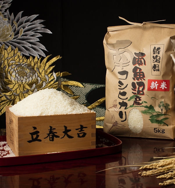 【定期便】【令和7年産】南魚沼塩沢産こしひかり（無洗米5kg×全6回）