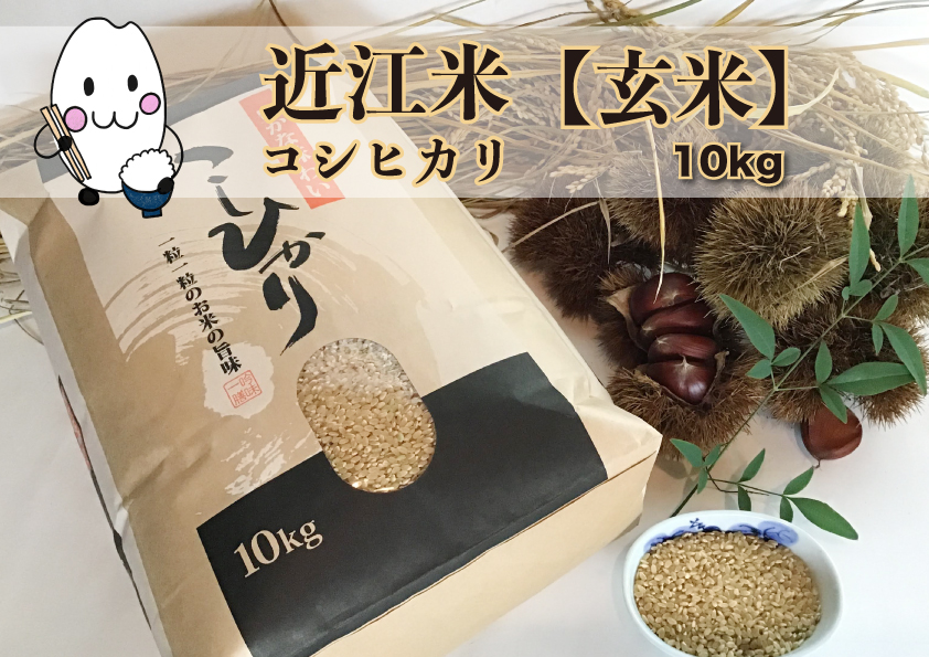 ◆実生庵の農家直送滋賀県高島市産 近江米【玄米】 コシヒカリ 10kg× 1袋
