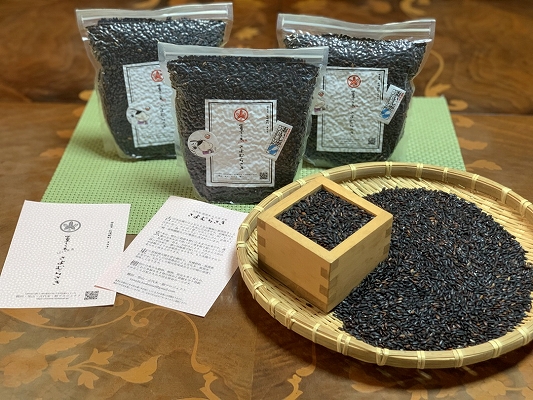 黒もち米（玄米）さよむらさき　500g×3袋