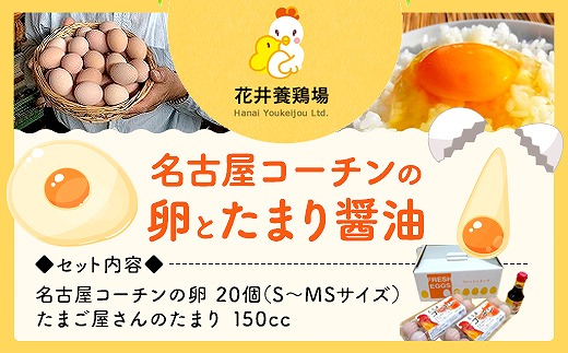 名古屋コーチンの卵とたまり醤油のセット Jtbのふるさと納税サイト ふるぽ