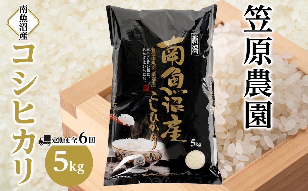 【定期便】【令和6年産新米】南魚沼産コシヒカリ【５kg×全６回】【米 お米 こしひかり 南魚沼 米 白米 こめ 新潟 米 】