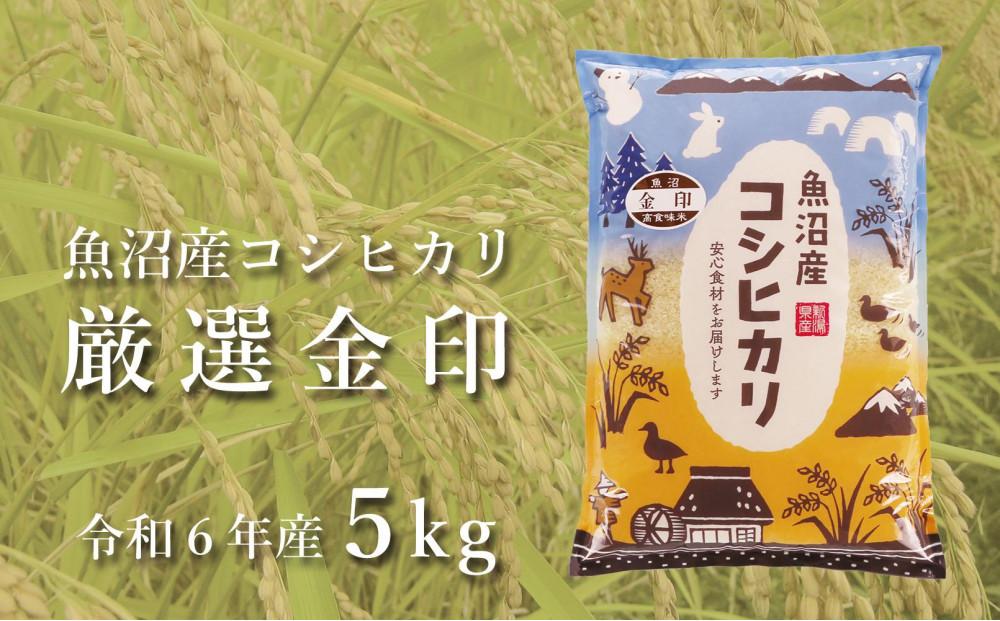 ＜令和6年産＞魚沼産コシヒカリ「金印」高食味米 5kg