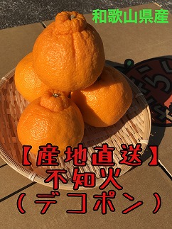 【産地直送】☆不知火☆家庭用☆約5kg