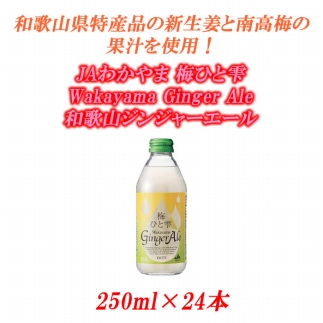 和歌山ジンジャーエール 250ml ×24本JAわかやま 梅ひと雫 Wakayama Ginger Ale