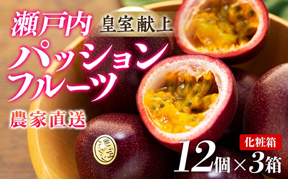 【2026年発送&nbsp;先行受付】パッションフルーツ&nbsp;化粧箱12個入り×3箱&nbsp;計36個【武富農園】【果物&nbsp;くだもの&nbsp;食品&nbsp;パッションフルーツ&nbsp;南国&nbsp;トロピカルフルーツ&nbsp;美味しいフルーツ&nbsp;自然の恵み&nbsp;フルーツギフト&nbsp;新鮮フルーツ&nbsp;国産フルーツ&nbsp;健康志向&nbsp;果汁たっぷり&nbsp;夏の味覚&nbsp;果物詰め合わせ&nbsp;季節の果物&nbsp;贈り物&nbsp;&nbsp;鹿児島県&nbsp;奄美大島&nbsp;瀬戸内町】