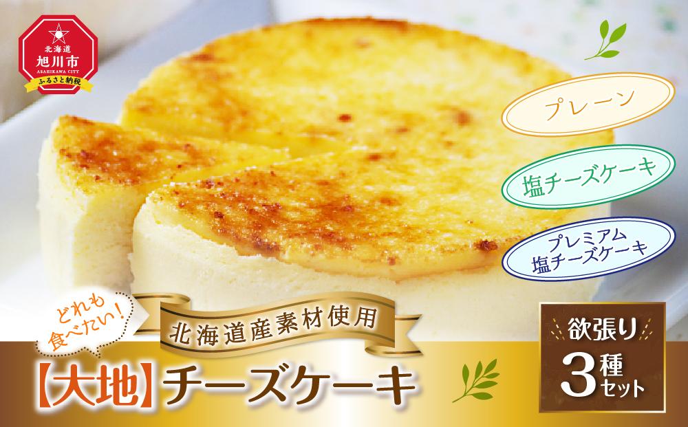 どれも食べたい！「北海道産素材使用」【大地】チーズケーキ欲張り3種セット_00184