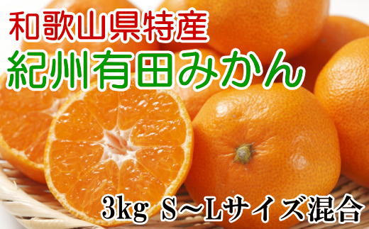 [秀品]和歌山有田みかん約3kg（S～Lサイズ混合）★2024年11月中旬頃より順次発送