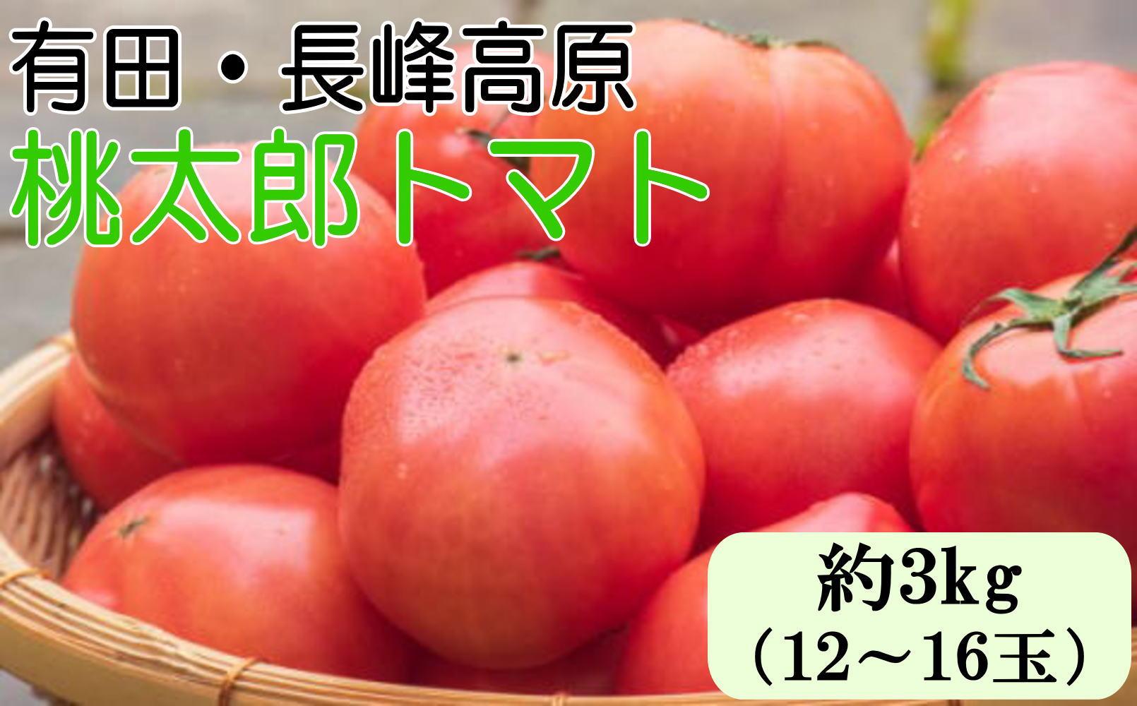 長峰高原 有田産 桃太郎トマト 約3kg ★2025年8月より順次発送 有田川町