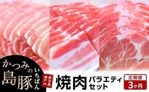 【定期便3か月】かつみの島豚いちばん焼肉バラエティセット 750g（250g×3パック）