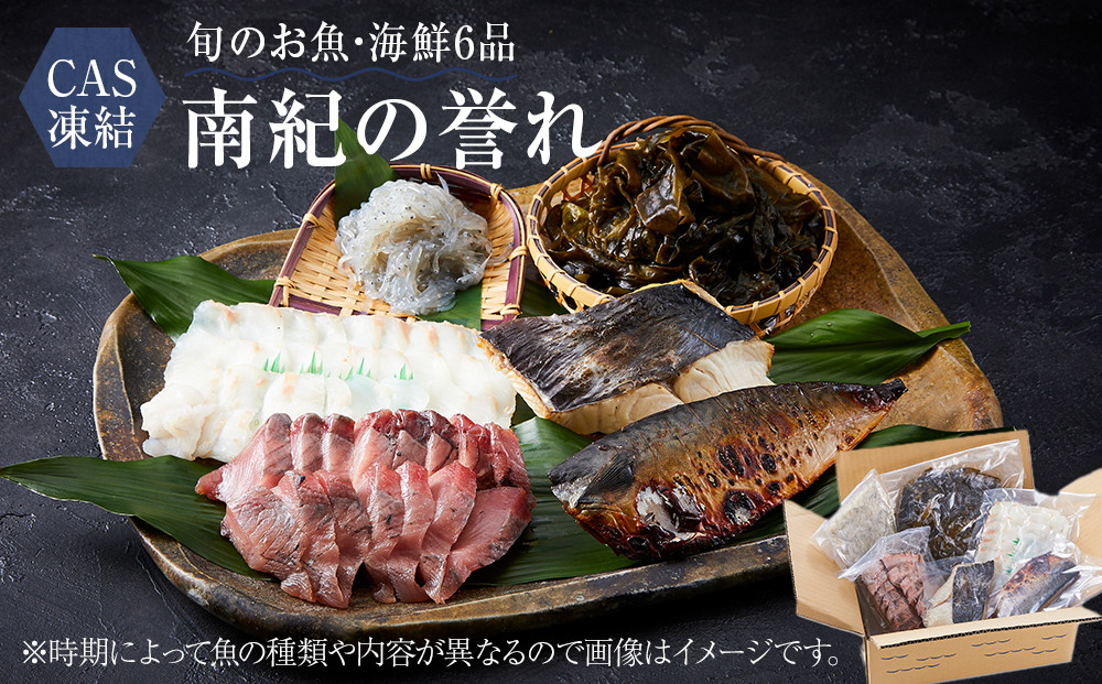 CAS凍結 南紀の誉れ 旬 の 海産物 6品 セット お楽しみ 簡単調理 干物 お造り 塩焼き など