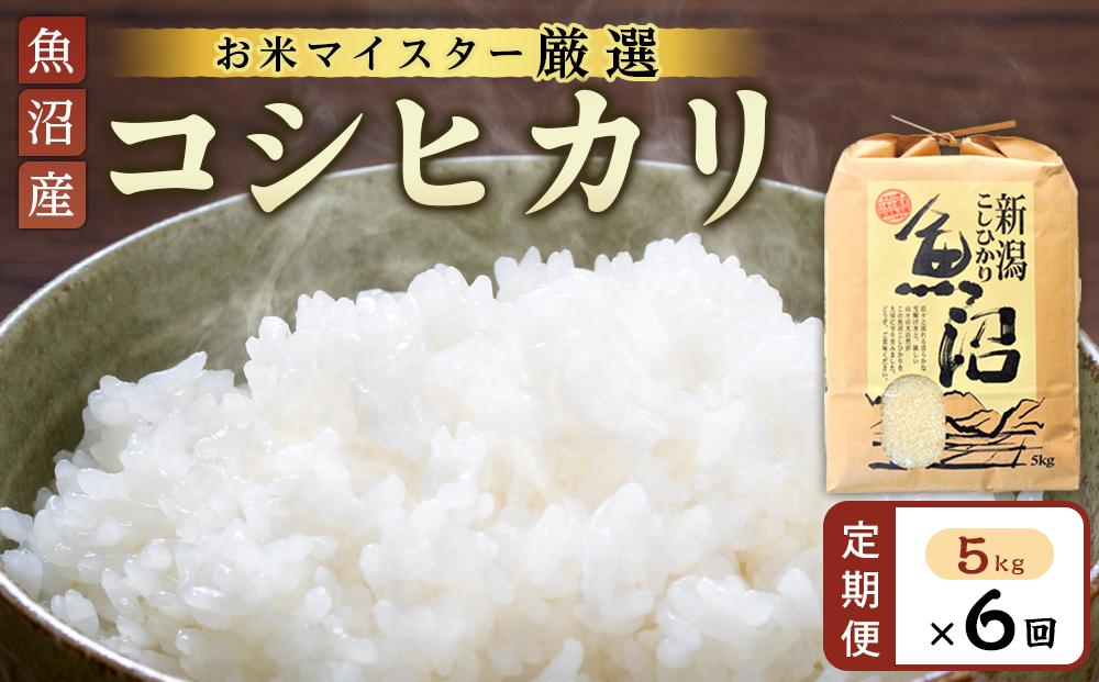 【定期便】【お米マイスター厳選】魚沼産コシヒカリ5Kg×6ヶ月連続お届け　米　お米　新潟　新潟県&nbsp;魚沼　こしひかり