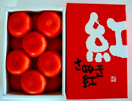 ハウス小原紅早生みかん化粧箱約１kg＜ポイント交換専用＞