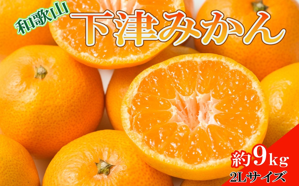 ［産直・秀品］和歌山下津みかん約9kg（2Lサイズ）★2026年11月中旬頃より順次発送［TM76］