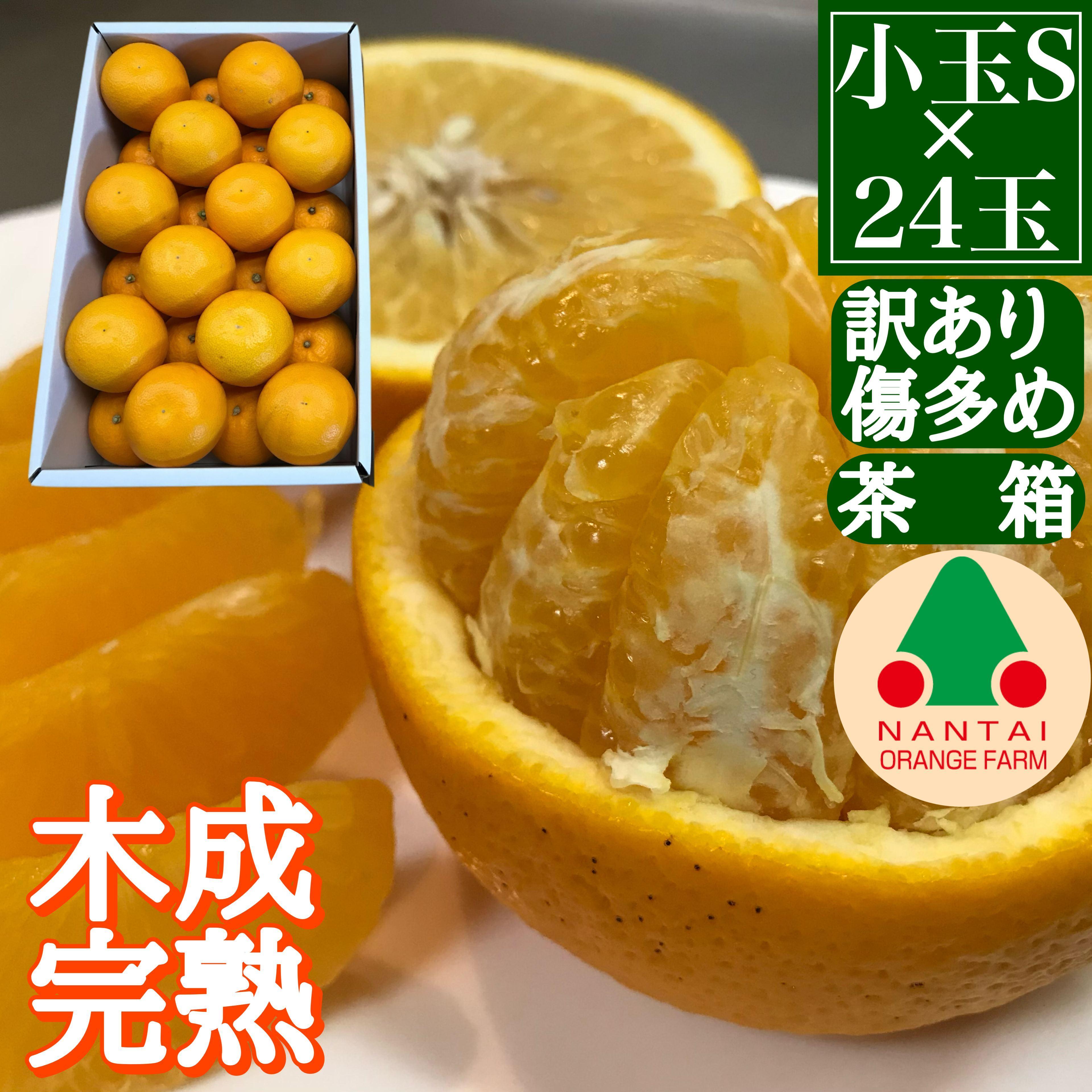 訳あり&nbsp;傷多め&nbsp;4月&nbsp;まで&nbsp;木成&nbsp;完熟&nbsp;させた&nbsp;有田&nbsp;はっさく&nbsp;S&nbsp;×&nbsp;24玉&nbsp;茶箱&nbsp;南泰園&nbsp;みかん