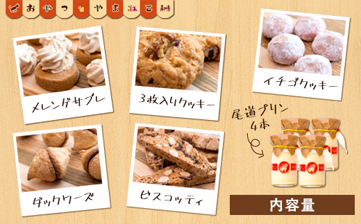 通常お任せセット 焼き菓子 メレンゲクッキー abitur.gnesin-academy.ru