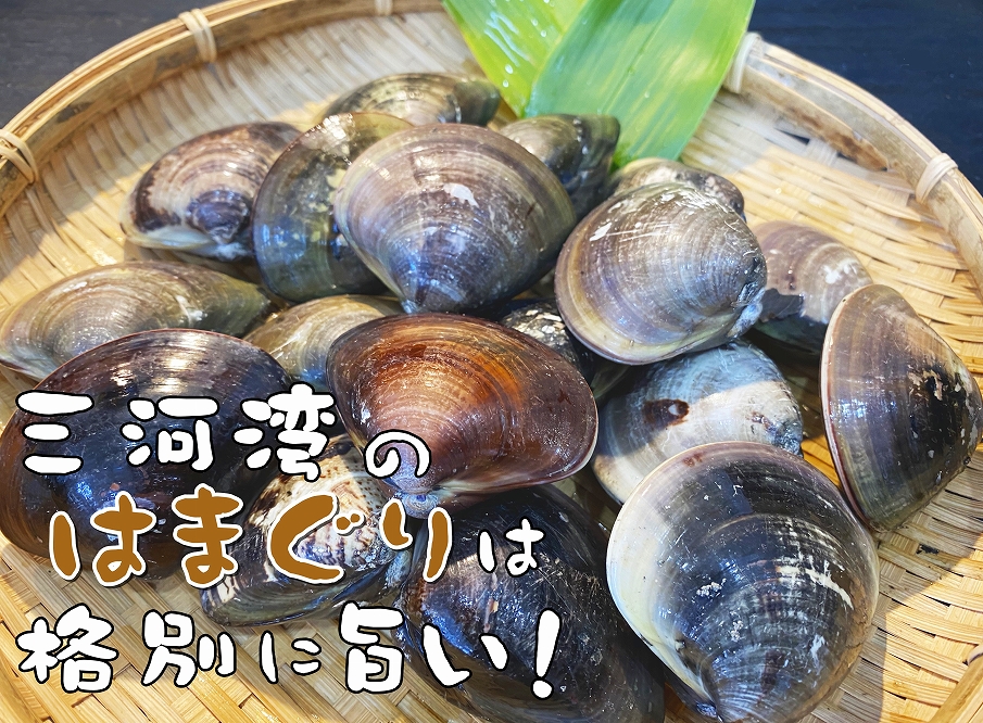 愛知県産 天然はまぐり 中サイズ 冷凍 ５００ｇ ２袋 Jtbのふるさと納税サイト ふるぽ