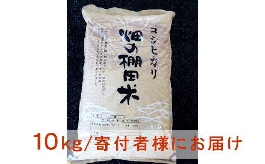 ◆【お米シェア】びわ湖高島 畑の棚田米 10kg