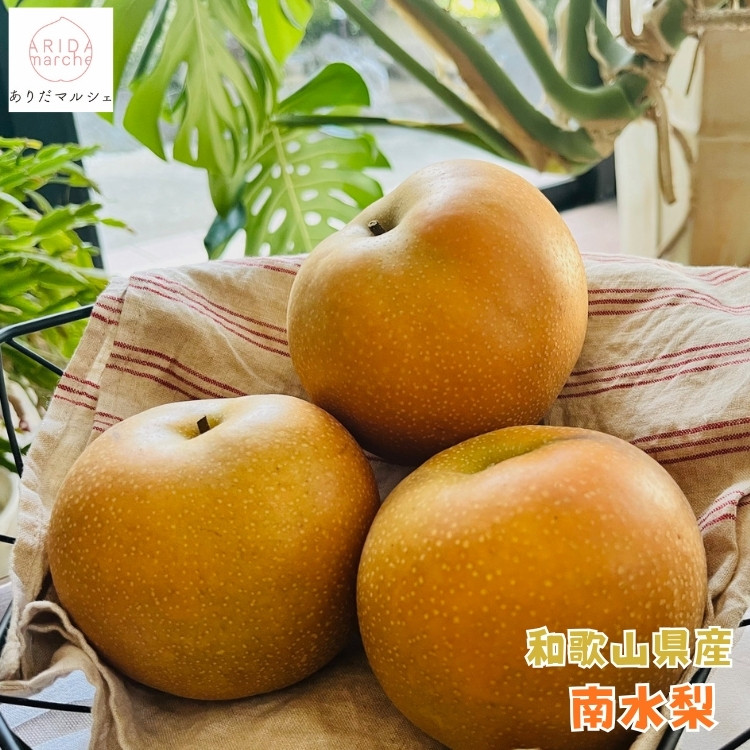 有田の 樹上 成熟 梨 農家直送 南水 梨 約2kg［2026年・先行予約］