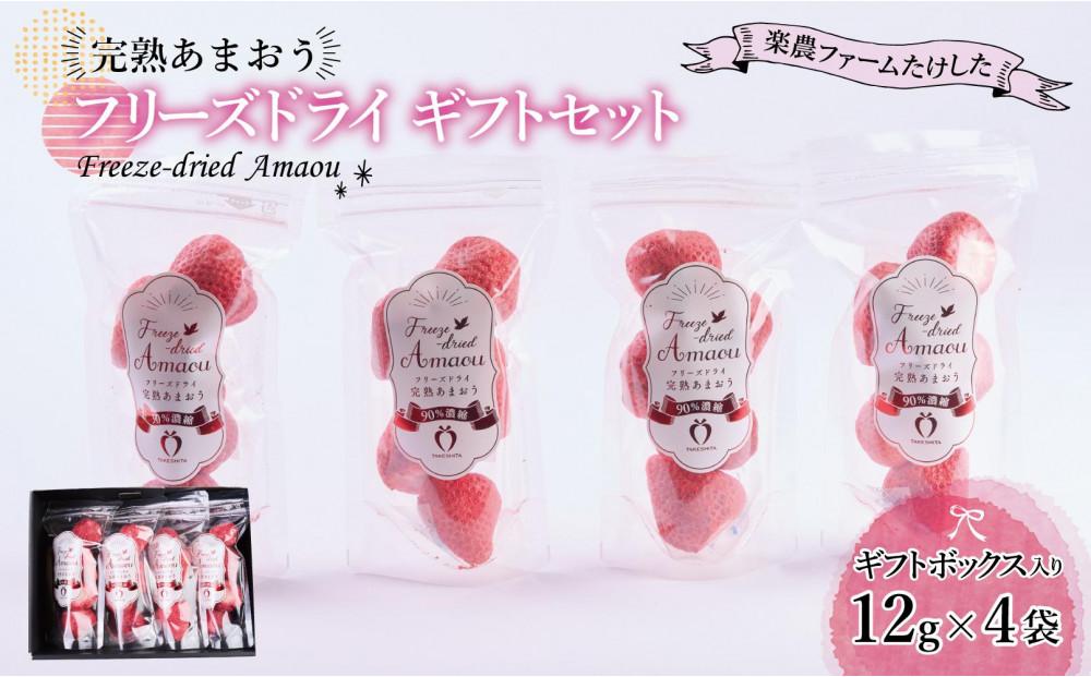 形も味もそのまま楽しめる！完熟あまおう【フリーズドライギフトセット】 (12g×4袋)【あまおう 食品 あまおう フルーツ あまおう 果物 苺くだもの いちご 食品 イチゴ 人気 あまおう おすすめ 送料無料 福岡県 大川市 AA043】