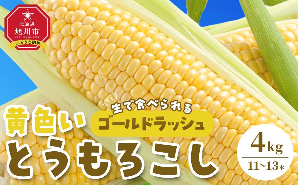 【先行予約】【旭川近郊産】黄色いとうもろこし（ゴールドラッシュ）4kg（11-13本）(2025年8月上旬発送予定) 【 人気 北海道産 糖度 生 野菜 スイートコーン 産地直送 バーベキュー BBQ コーン 旬 お取り寄せ 旭川市 北海道 送料無料 】_00092