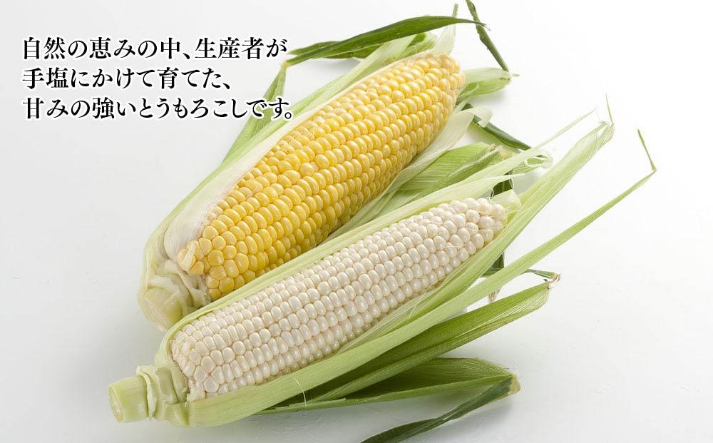 先行予約】【旭川産】白と黄色のとうもろこしセット 各5本（計3.5kg