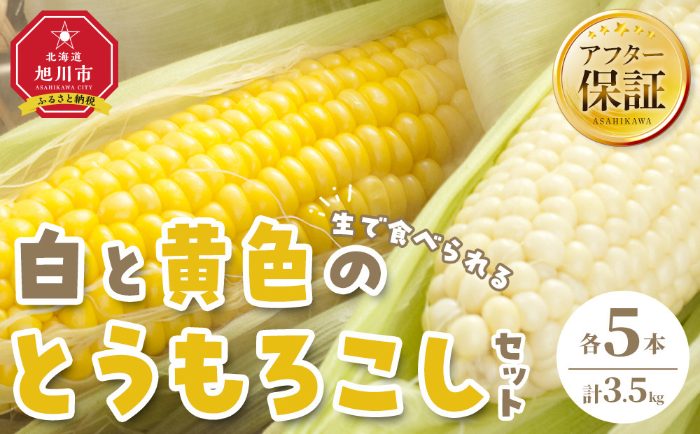 【先行予約】【旭川近郊産】白と黄色のとうもろこしセット　各5本（計3.5kg）2026年8月上旬から発送開始予定&nbsp;【&nbsp;白いとうもろこし&nbsp;人気&nbsp;北海道産&nbsp;糖度&nbsp;生&nbsp;野菜&nbsp;スイートコーン&nbsp;産地直送&nbsp;バーベキュー&nbsp;BBQ&nbsp;コーン&nbsp;旬&nbsp;お取り寄せ&nbsp;旭川市&nbsp;北海道&nbsp;】_00094