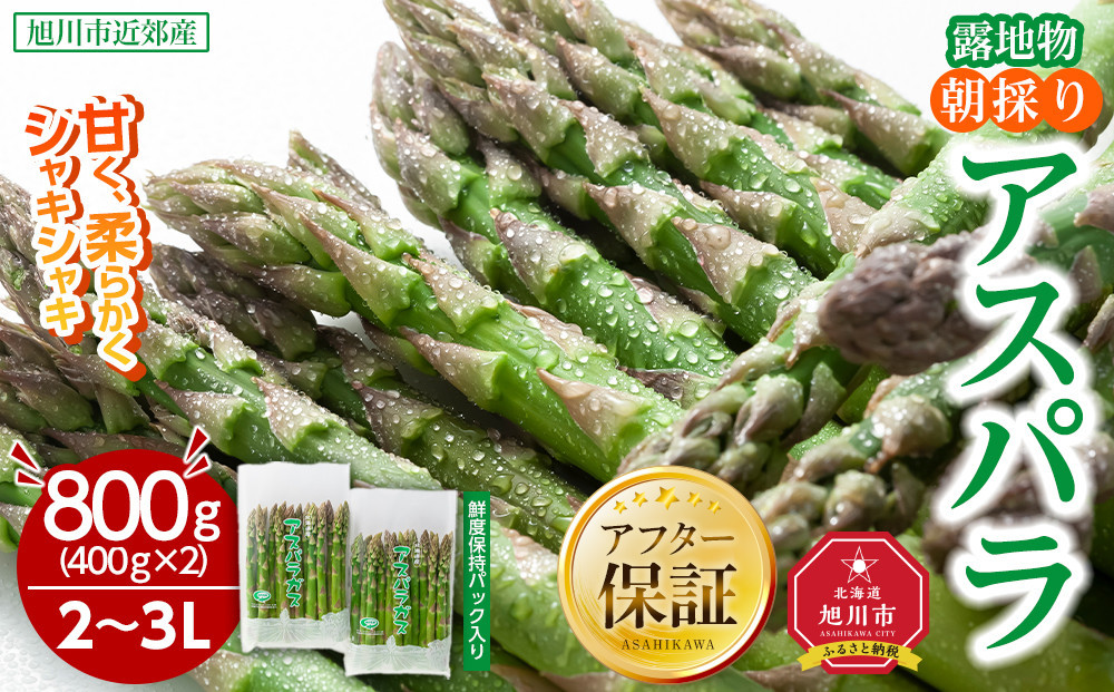 【2026年先行予約】露地物朝採りアスパラ&nbsp;2L～3Lサイズ800g（400g×2）鮮度保持フィルム入り(5月中旬発送開始予定)&nbsp;【&nbsp;アスパラ&nbsp;アスパラガス&nbsp;朝採り&nbsp;とれたて&nbsp;野菜&nbsp;旬&nbsp;小分け&nbsp;保存&nbsp;産直&nbsp;産地直送&nbsp;お取り寄せ&nbsp;旭川市&nbsp;北海道&nbsp;】_01593