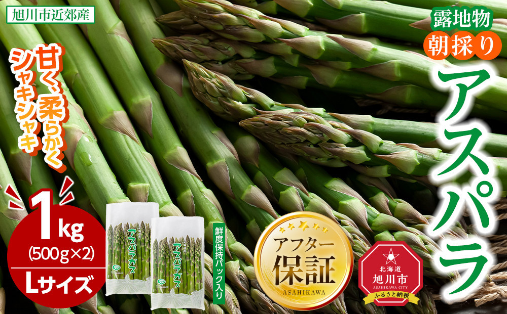 【2026年先行予約】朝採りアスパラ&nbsp;Lサイズ&nbsp;1kg（500g×2）鮮度保持パック入り&nbsp;旭川近郊産&nbsp;露地物(5月中旬発送開始予定)&nbsp;【&nbsp;アスパラ&nbsp;アスパラガス&nbsp;朝採り&nbsp;とれたて&nbsp;野菜&nbsp;旬&nbsp;小分け&nbsp;保存&nbsp;産直&nbsp;産地直送&nbsp;お取り寄せ&nbsp;旭川市&nbsp;北海道&nbsp;】_01590