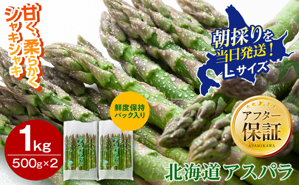 【2027年先行予約】朝採りアスパラ&nbsp;Lサイズ&nbsp;1kg（500g×2）鮮度保持パック入り&nbsp;旭川近郊産&nbsp;露地物（5月中旬発送開始予定）【&nbsp;アスパラ&nbsp;アスパラガス&nbsp;朝採り&nbsp;とれたて&nbsp;野菜&nbsp;旬&nbsp;小分け&nbsp;保存&nbsp;産直&nbsp;産地直送&nbsp;お取り寄せ&nbsp;旭川市&nbsp;北海道&nbsp;】_01590