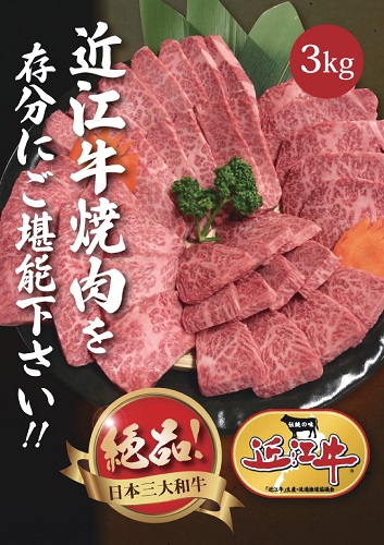 近江牛 焼肉用セット（肩ロース・バラ 3kg）【ポイント交換専用】